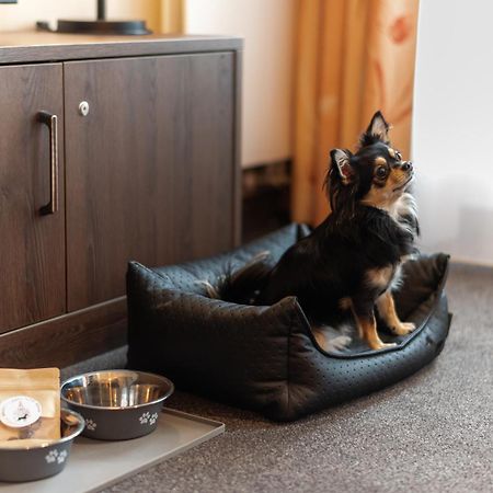 Familienapartment Am Neumarkt Lll Drezno Zewnętrze zdjęcie