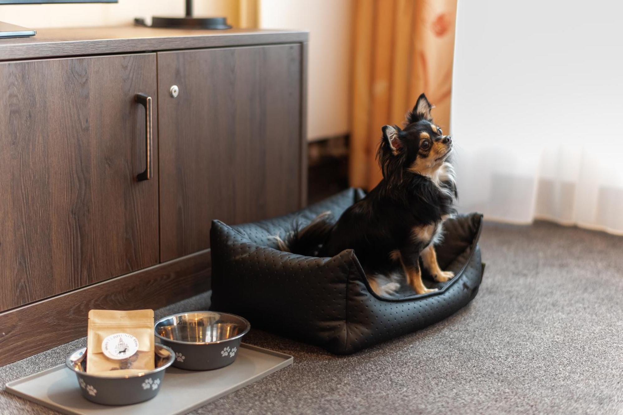 Familienapartment Am Neumarkt Lll Drezno Zewnętrze zdjęcie